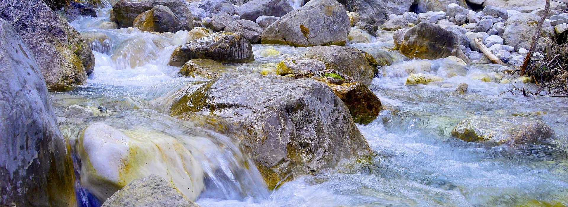  treatIdAsReference='false'