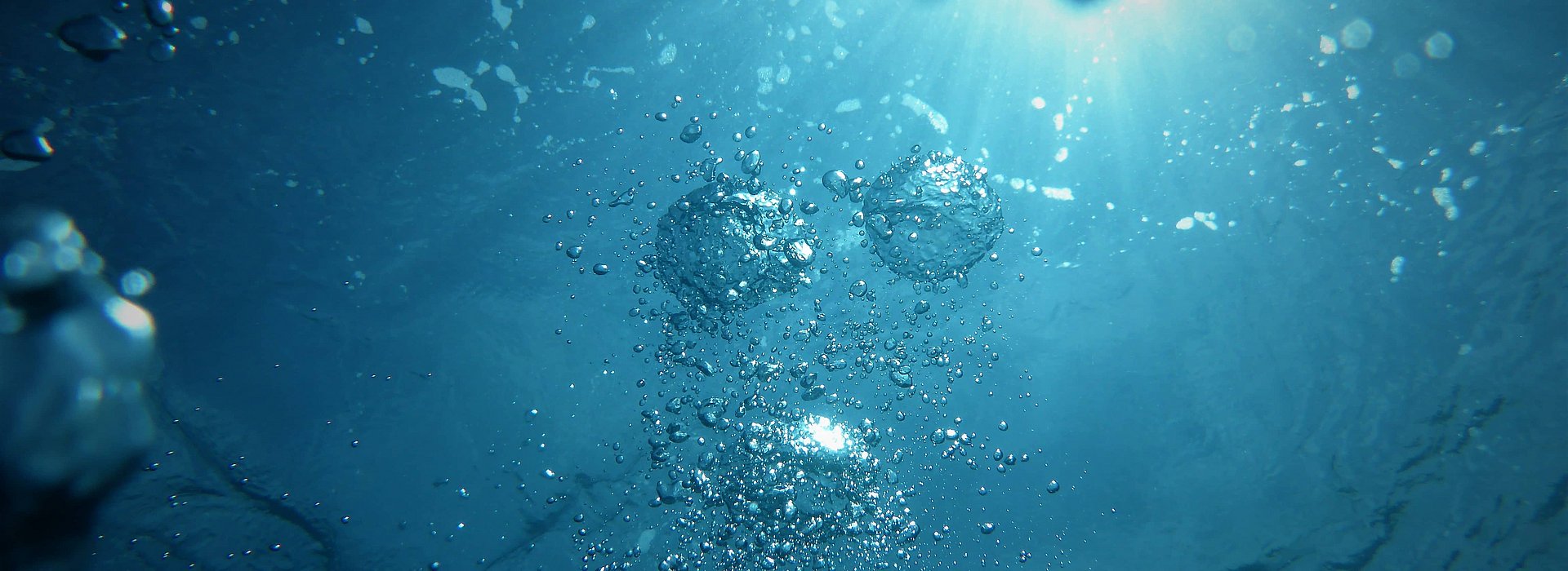  treatIdAsReference='false'