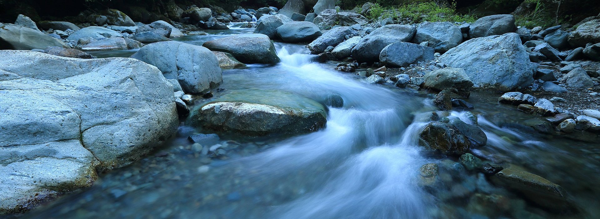  treatIdAsReference='false'